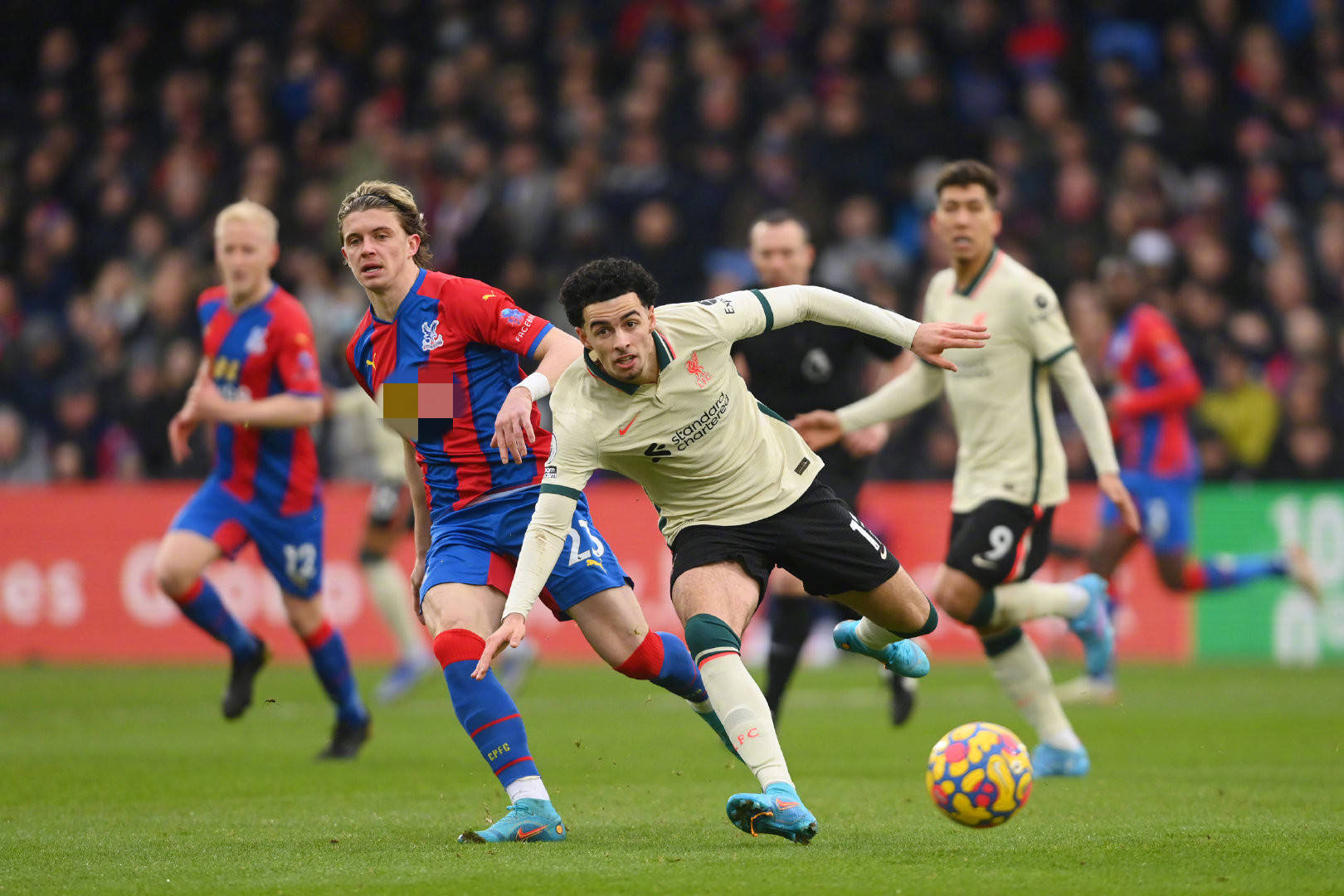 這篇文章將 這篇文章將